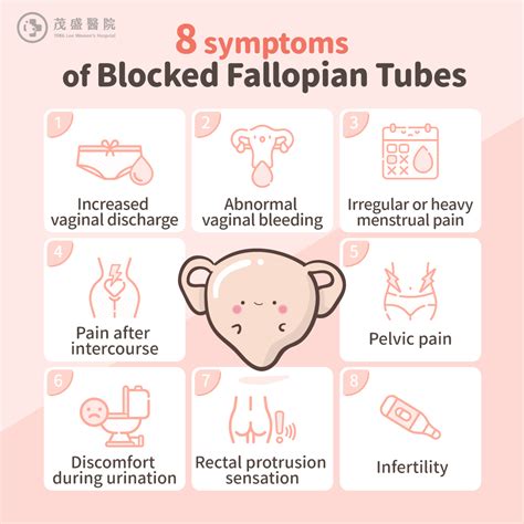 Blocked Fallopian Tubes: Symptoms, HSG, and Getting Pregnant