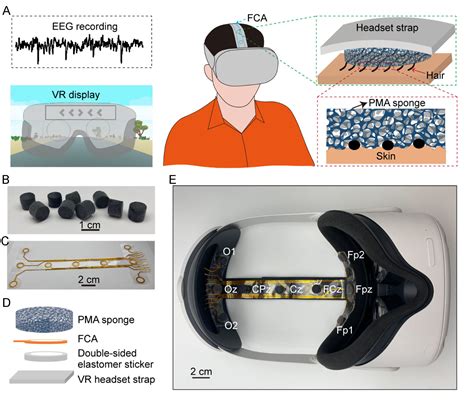 バーチャルリアリティ技術で脳の活動を測定可能に(Modified Virtual Reality Tech Can Measure Brain Activity) | テック・アイ生命科学