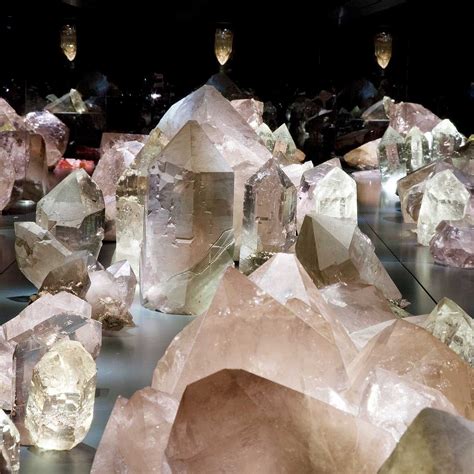 NATURHISTORISCHES MUSEUM BERN (2025) All You Need to Know BEFORE You Go ...