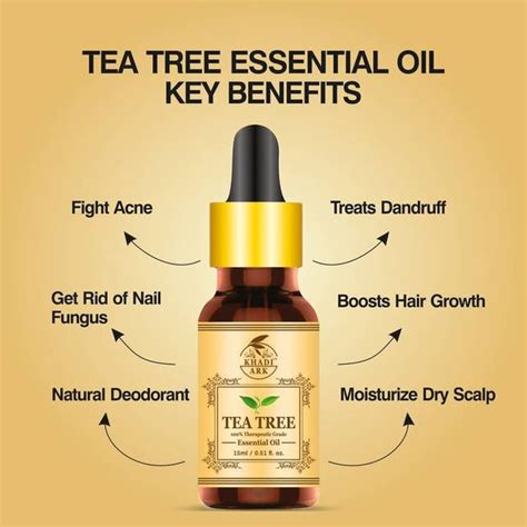 Tea Tree Oil - Buy Tea Tree Oil online at Best Prices in India ...