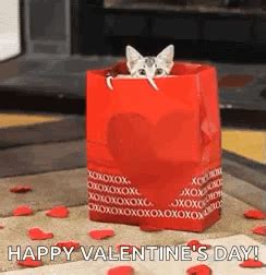 Valentine GIFs | GIFDB.com