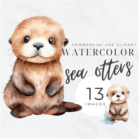 Sea Otter Watercolor Clipart, Cute Otter PNG Bundle, Animals Clip Art ...