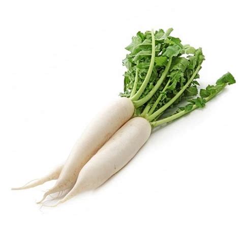 Radish