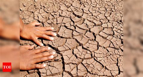 Drought feared as rain evades Jaisalmer, Barmer | Jaipur News - Times ...