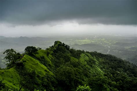 Now experience the Western Ghats through India's first canopy walk ...