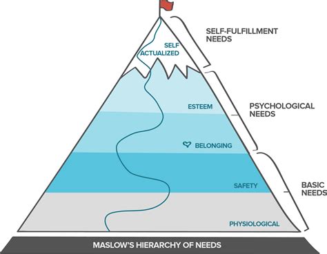 Instinct Theory and Drive Reduction Theory Both Emphasize