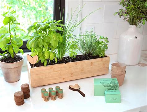 Amazon.com : Fleur DU BIEN Indoor Herb Garden Kit with Planter Box ...