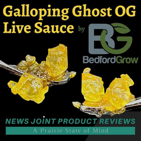 Galloping Ghost OG strain review Archives - Illinois News Joint
