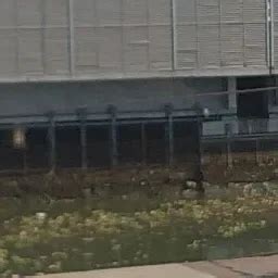 Ship Building Centre - Shipyard - Visakhapatnam - Andhra Pradesh | Yappe.in