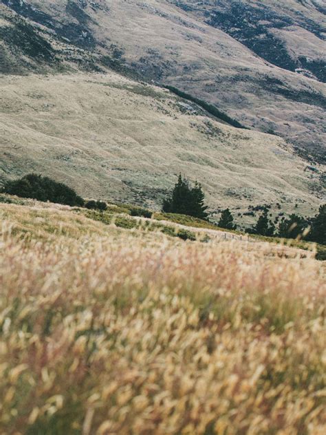 Loan Rates — MCU Financial Center CU