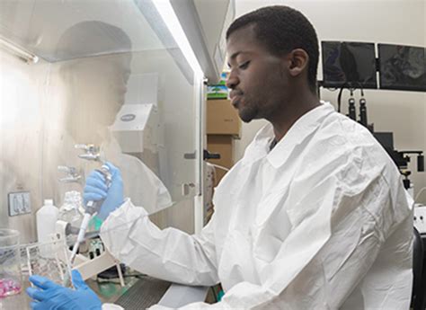 Biomedical Engineering Work Environment 的图像结果