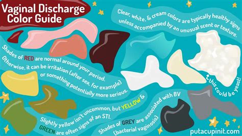 Vaginal Discharge | An Illustrated Guide To What's Normal & What's Not ...