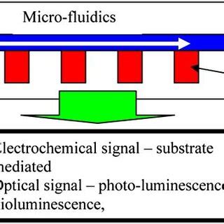 Image result for How to Program Cell Chip