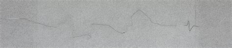 Tracing the Cartographer's Trail — Akar Prakar