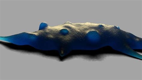 Bone cancer: Tumour-targeting drug has potential as a new therapeutic ...