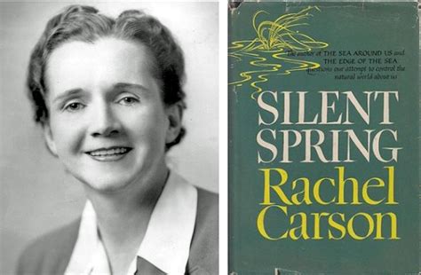 Silent Spring 的图像结果