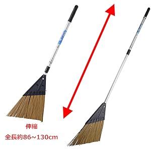 #Document Object Model JavaScript 的图像结果