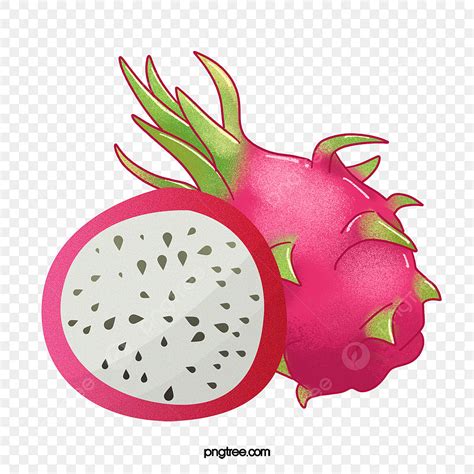 Pitaya, Fruits, De La Nourriture Fichier PNG et PSD pour le ...