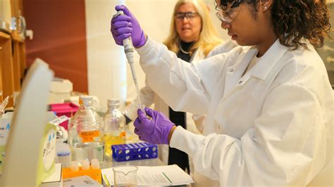 Biomedical Engineering 的图像结果