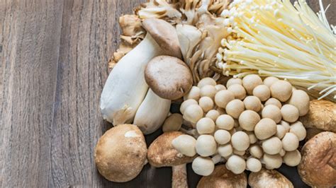 Vitamin D: Benefits, Sources & Supplements – Panchamrit