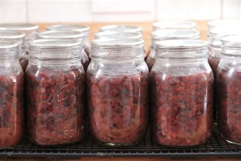 Canning String Beans Recipe 的图像结果