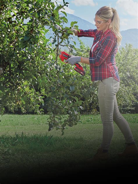 Image result for Einhell Tools