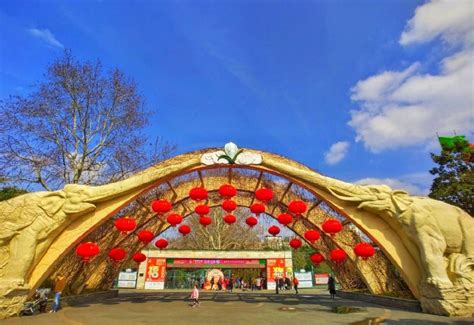 【背着Doughnut去旅行】上海野生动物园一日游_上海野生动物园好玩吗-【驴妈妈游记】