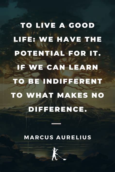 Life Lesson 的图像结果