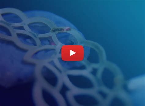 Portable Fiber Laser Marking & Engraving Machine - ELITE SLTL Group