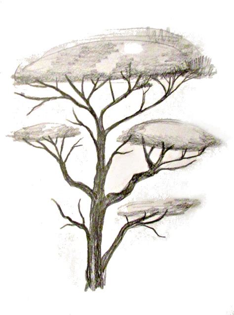 Draw a Tree 的图像结果