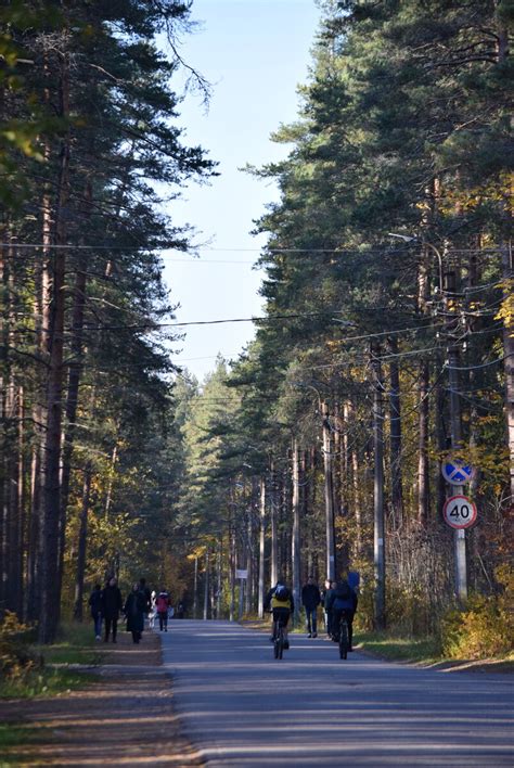 Пригороды Санкт-Петербурга: Комарово. Как добраться, что посмотреть и ...