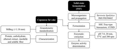 Biotechnological Valorization of Cupuaçu By-Products: Solid-State ...