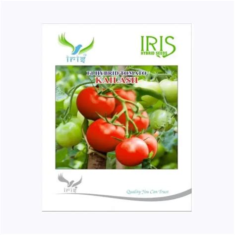 Buy Iris Kailash Tomato Seeds Online at the Best Price. - KisanShop
