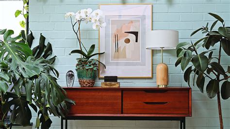 Can you water plants with dehumidifier water? | Ideal Home