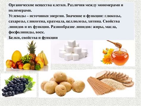 Органические вещества клетки. Различия между мономерами и полимерами ...