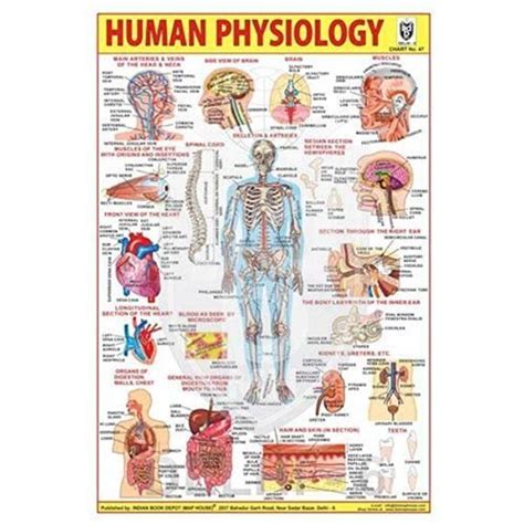 Naturos Scientific Co. | A house of Scientific Dealers