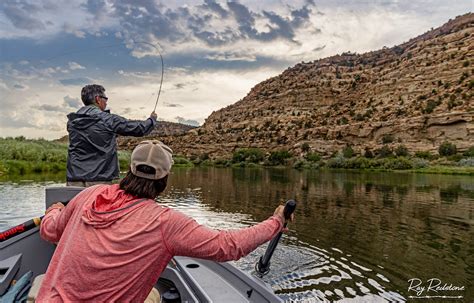 San Juan River New Mexico Fly Fishing Images & Tips | Fish Photos ...