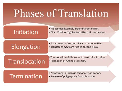 DNA Translation Basic 的图像结果