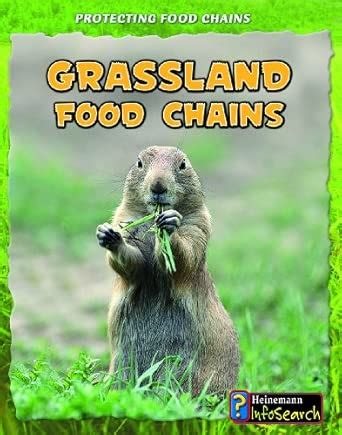 Grassland Food Chains (Heinemann InfoSearch: Protecting Food Chains ...
