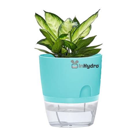 InHydro Handy Yellow hydroponics Self-Watering Pots, Durable Plastic ...