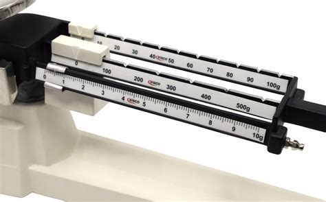 Using a Balance Scale 的图像结果
