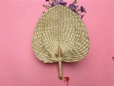 Computer Vision Model 的图像结果