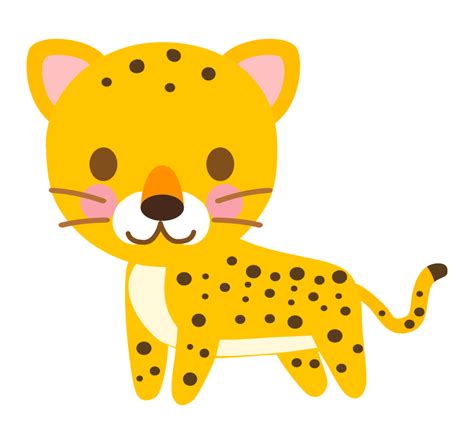 Image result for Set in Python Code