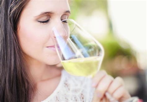 Weltweit Bestnoten für Südtirols Weine - UnserTirol24