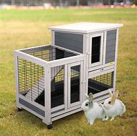 Image result for Baby Bunny Cage