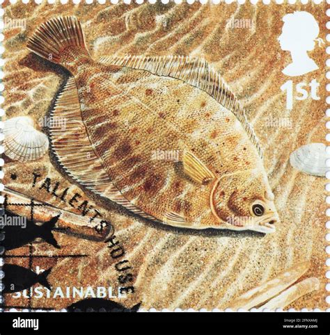 Dab fish on british postage stamp Stock Photo - Alamy