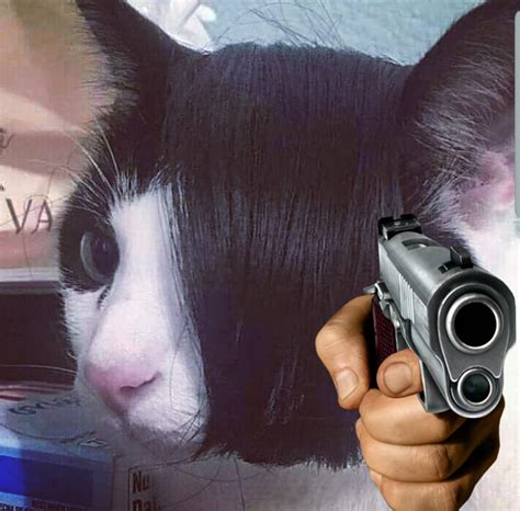 Using goofy ahh cat images to describe characters | Fandom