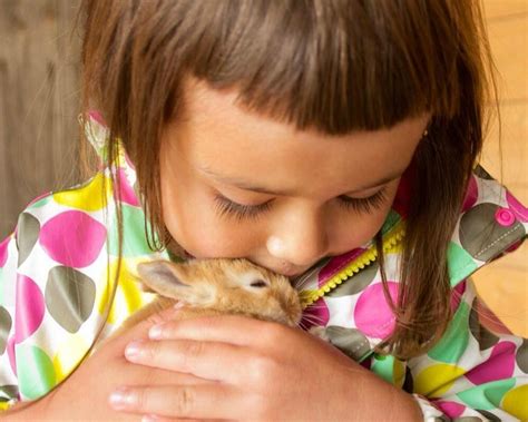 BUGGEGÅRDEN - FJØSNISSENS VERDEN (2026) All You Need to Know BEFORE You ...