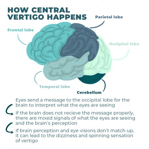 This Will Make Your Head Spin! What Causes Vertigo and How to Address – CellCore Biosciences
