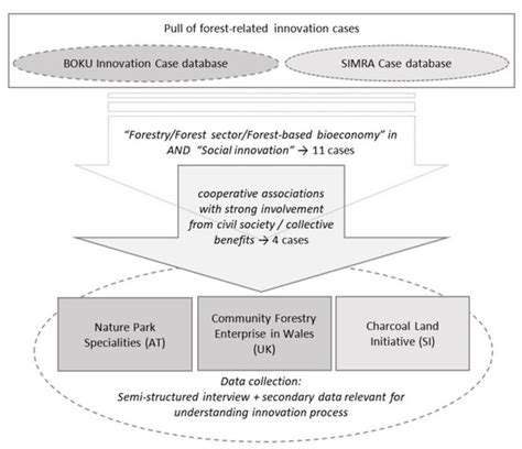 Governance of Social Innovation in Forestry